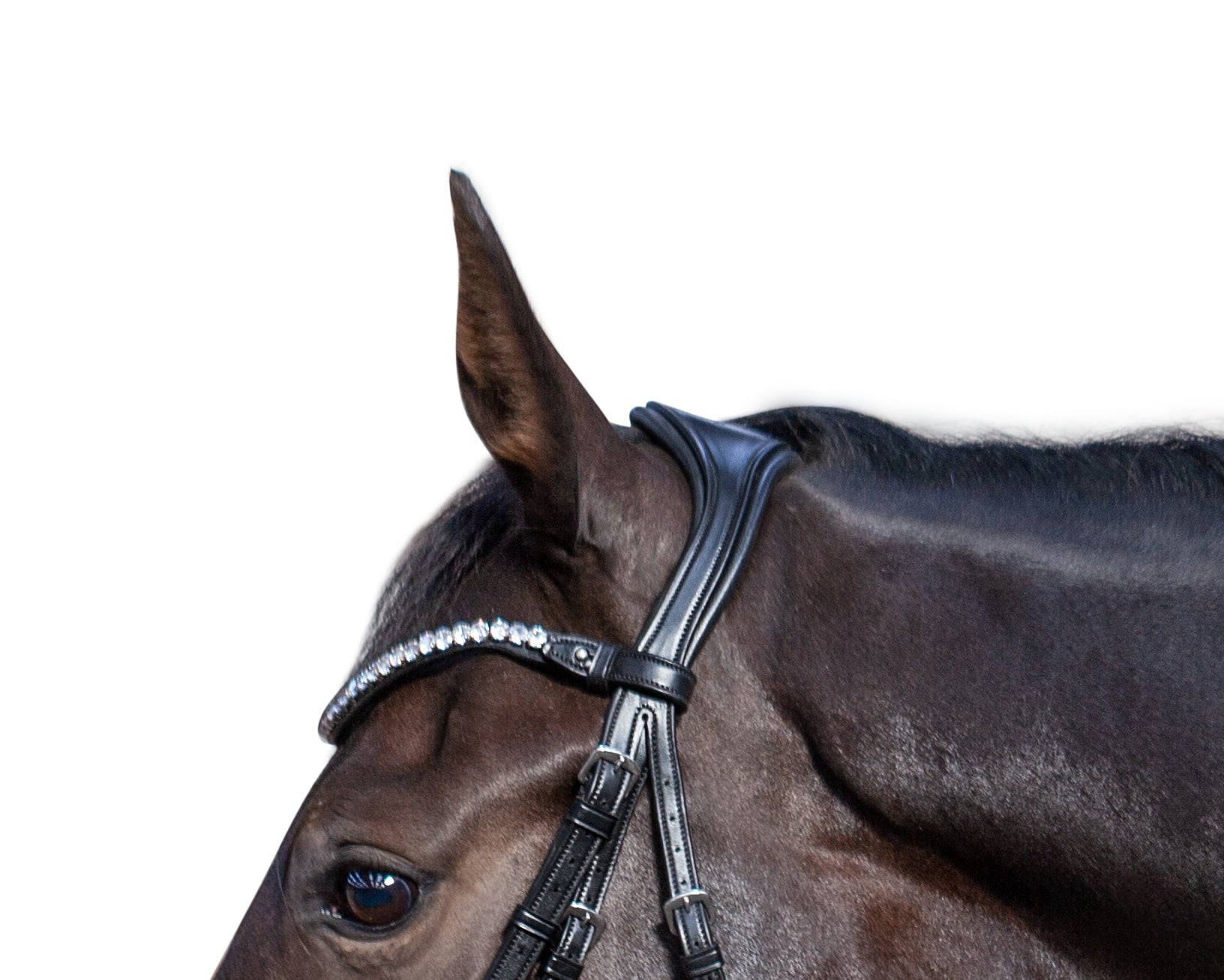Signs you should switch to an anatomical bridle