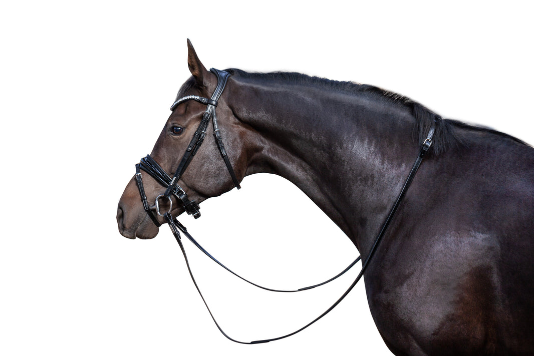 How to choose a bridle