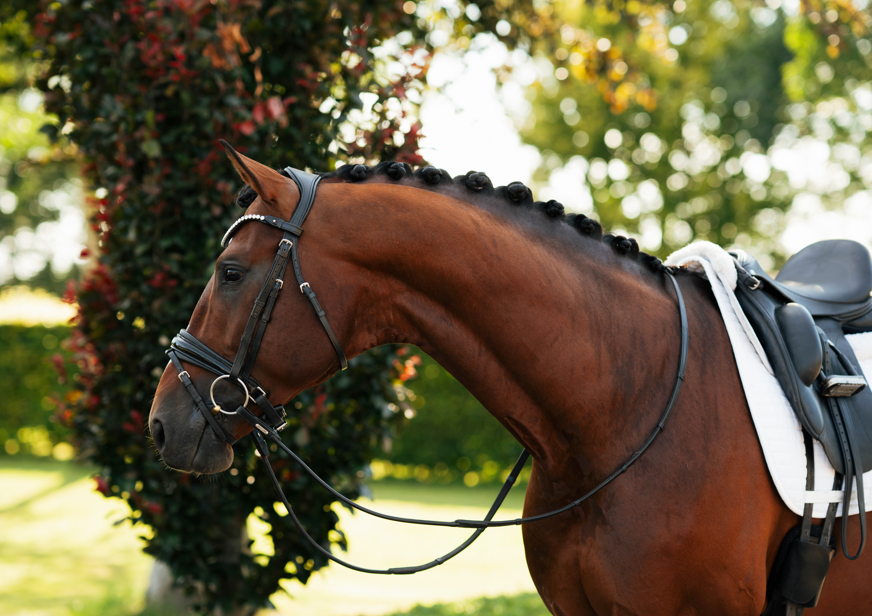 Meet Our Ambassador Adrienne Lyle