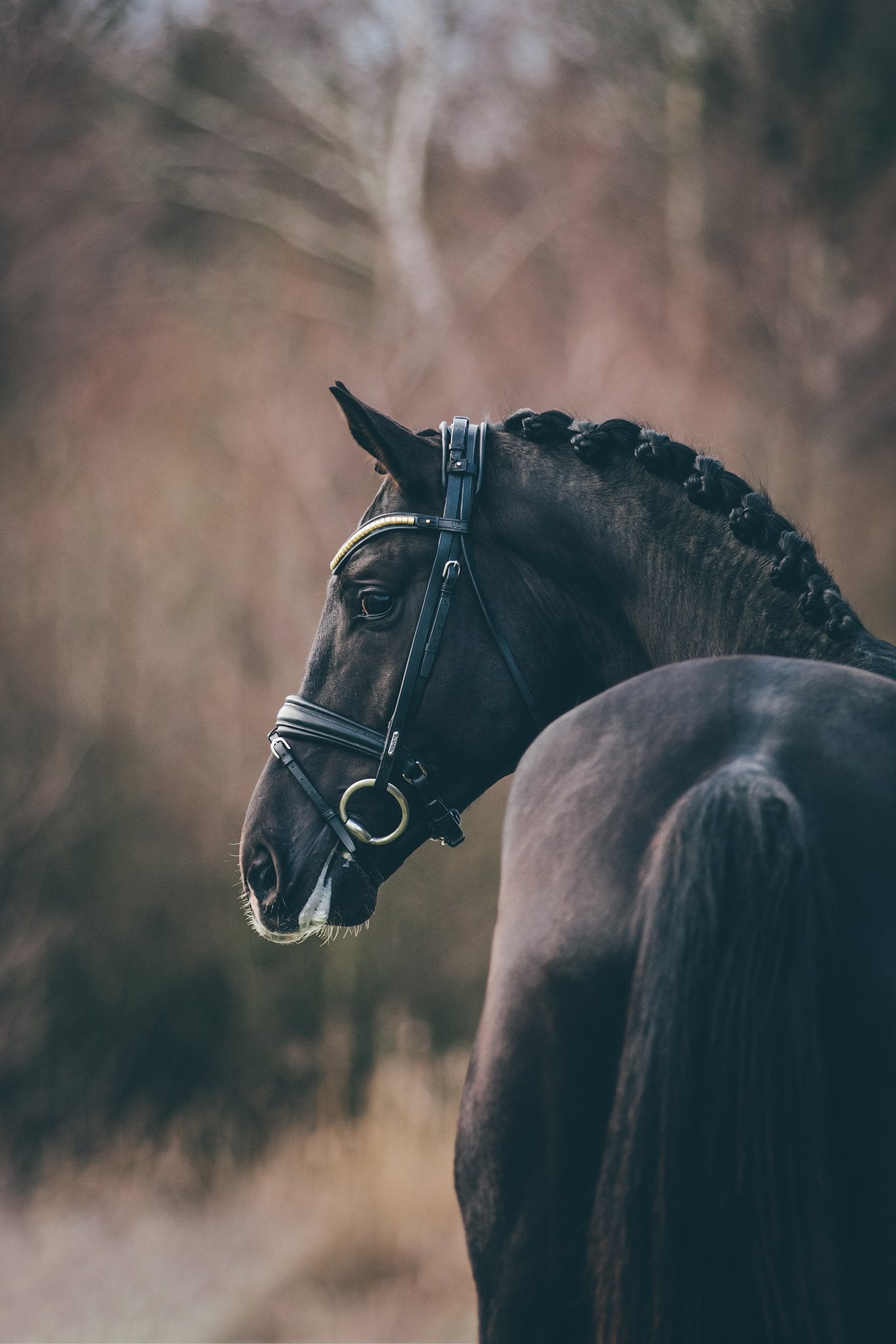 London Bridle Utzon Equestrian