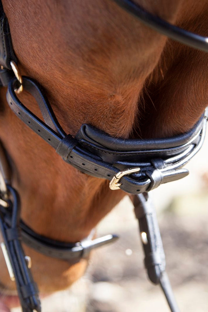 Bristol Bridle My Store