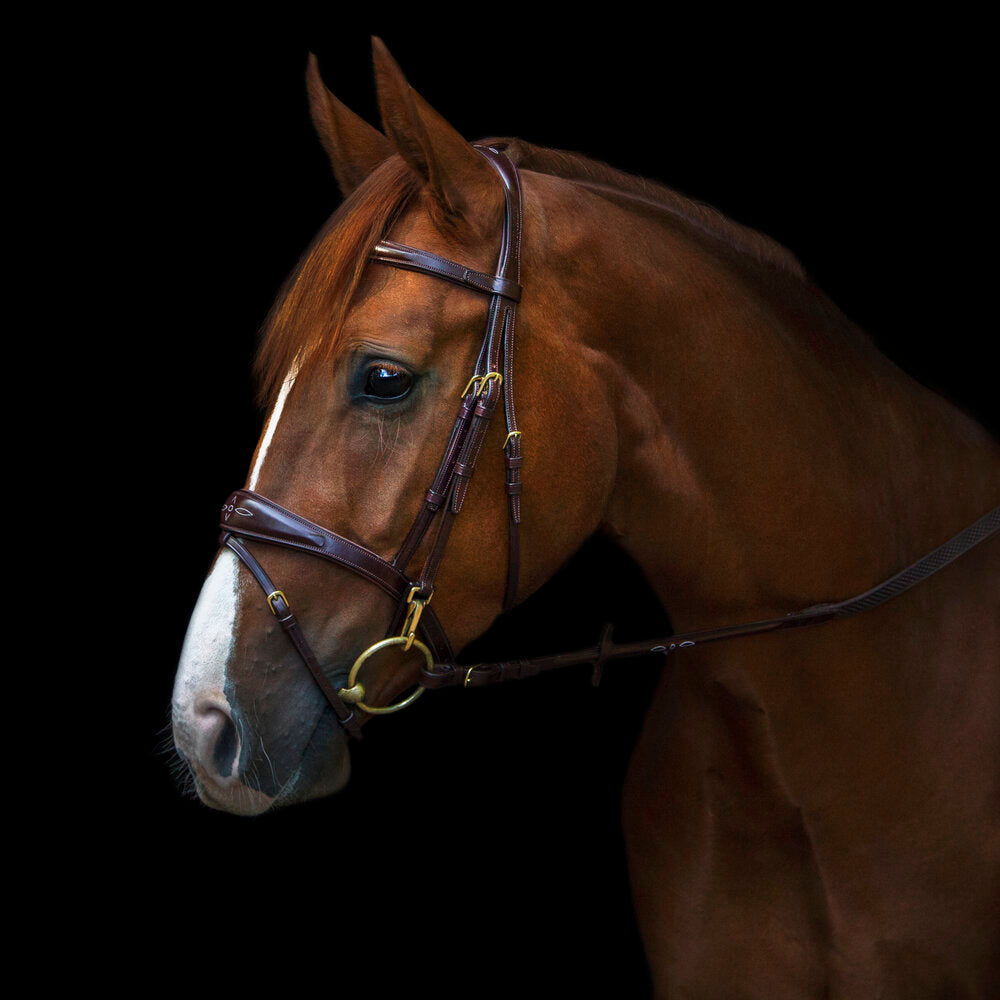 Belmond Bridle
