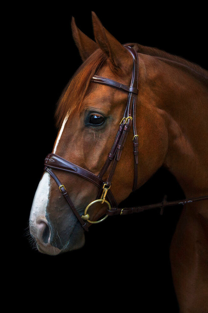 Belmond Bridle My Store