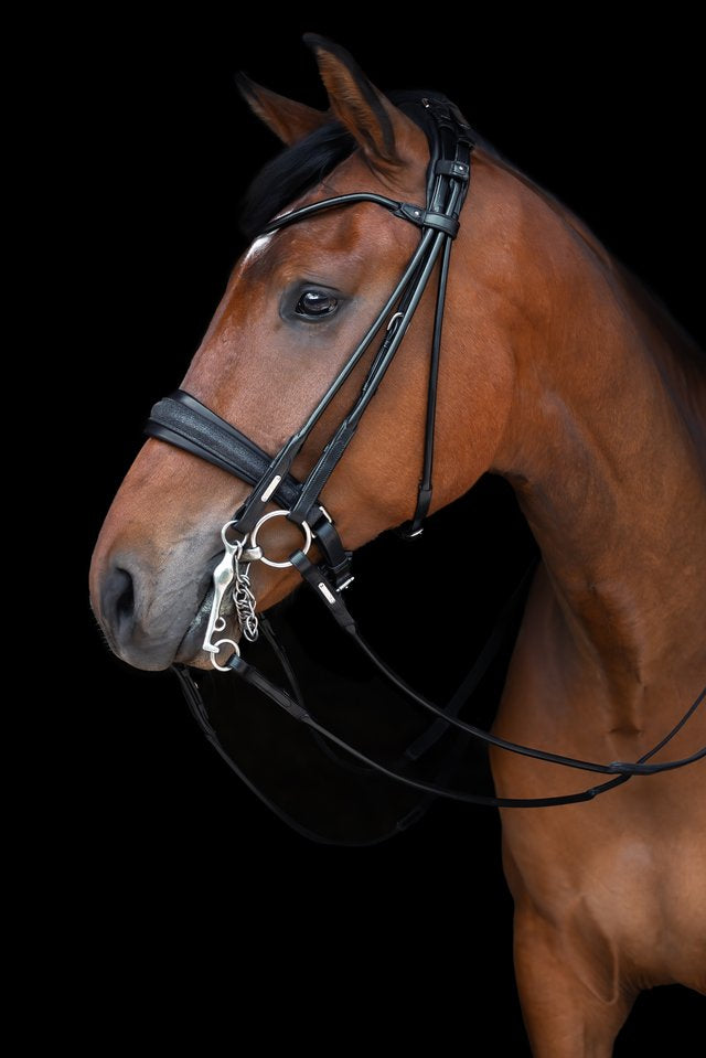Edinburgh Double Bridle, Glitter My Store