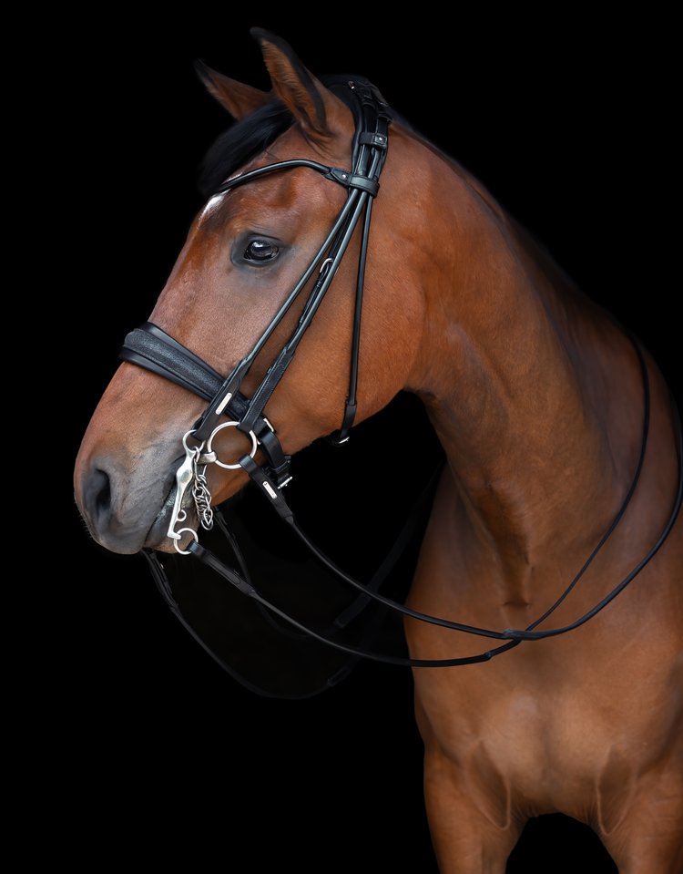 Edinburgh Double Bridle, Glitter