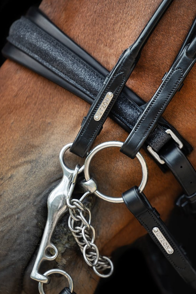 Edinburgh Double Bridle, Glitter My Store
