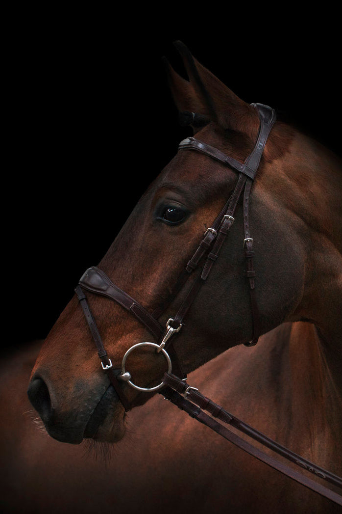 Oxford Bridle My Store