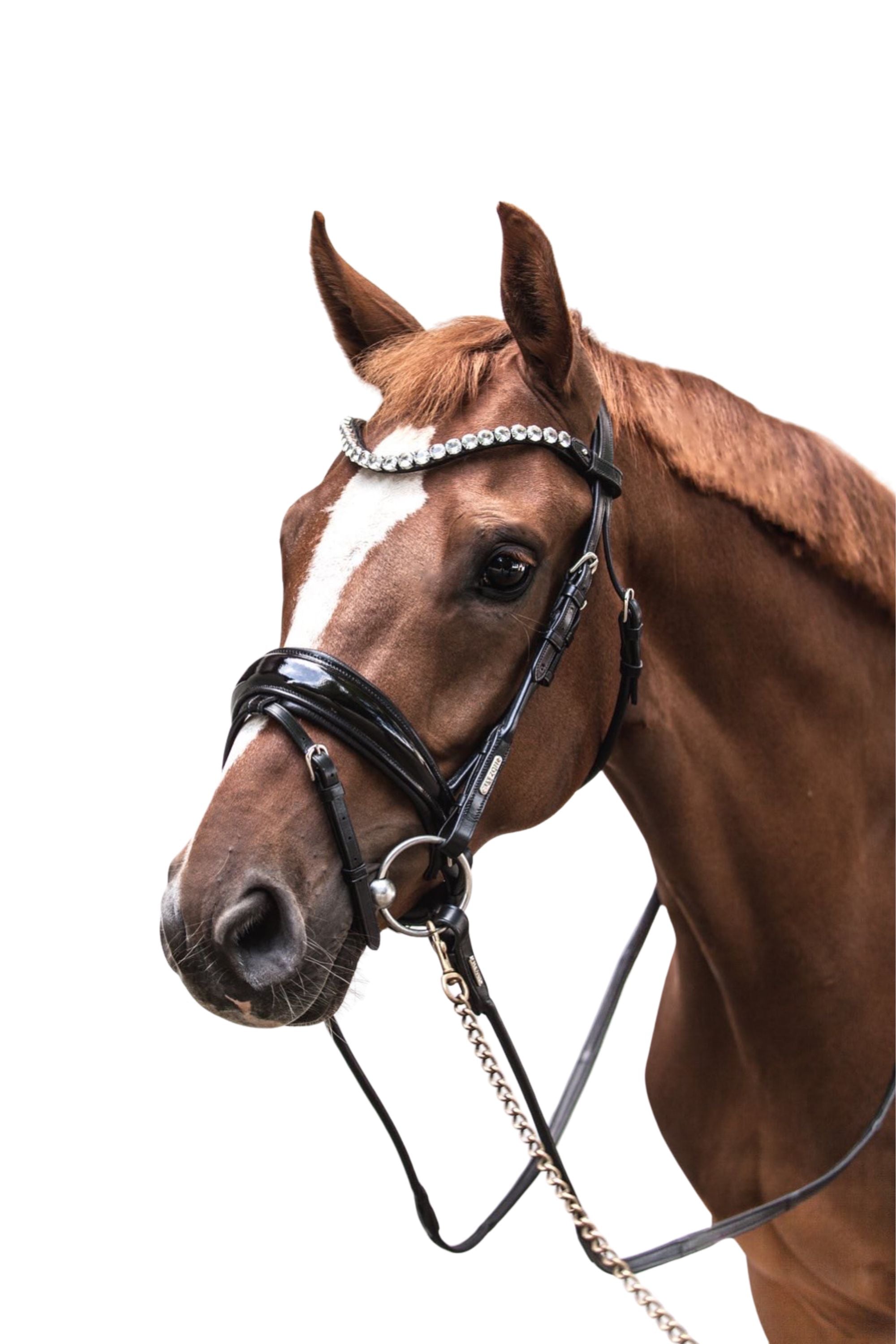Copenhagen Bridle