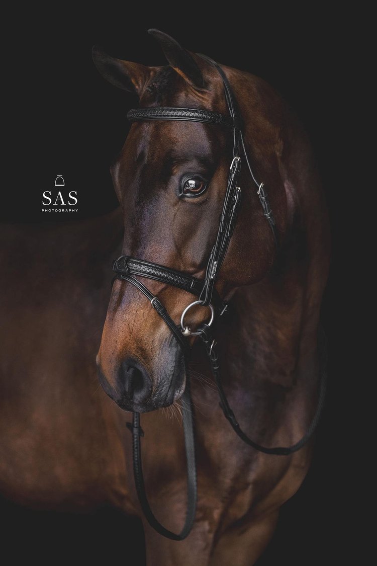 Grand Prix Bridle