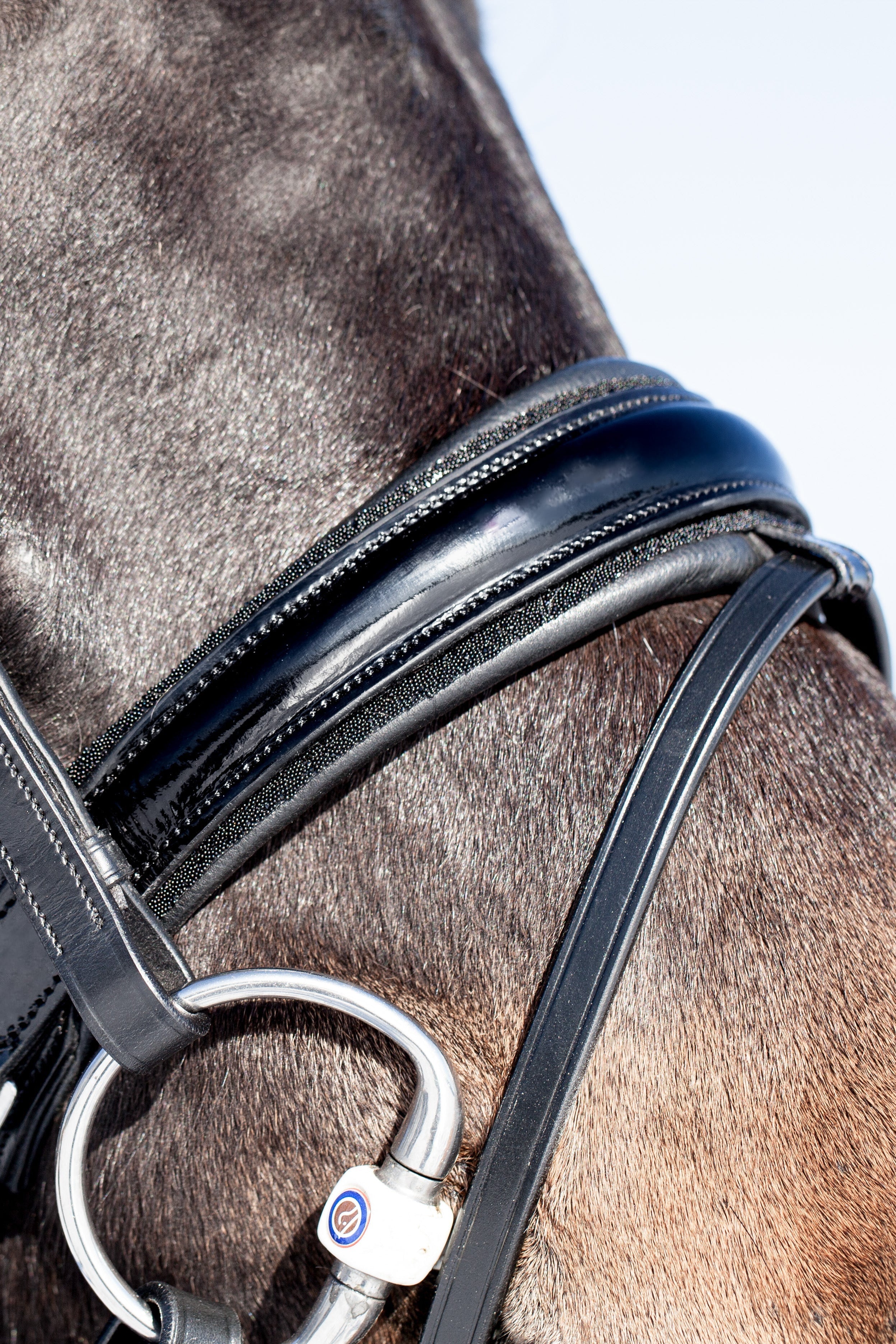 Miami Bridle, Black crystals Utzon Equestrian