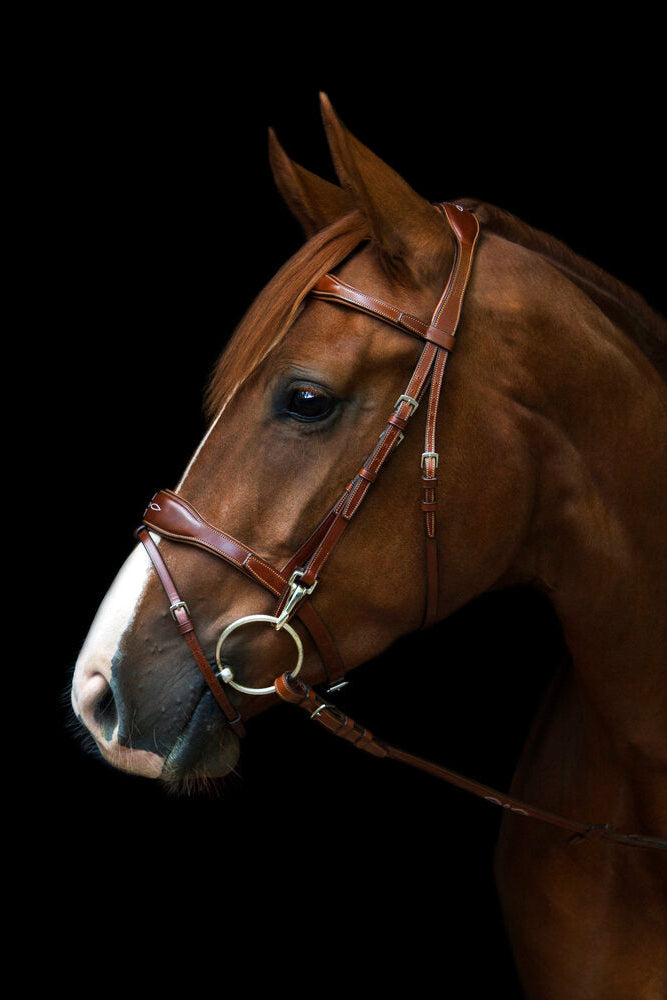 Oxford Bridle My Store