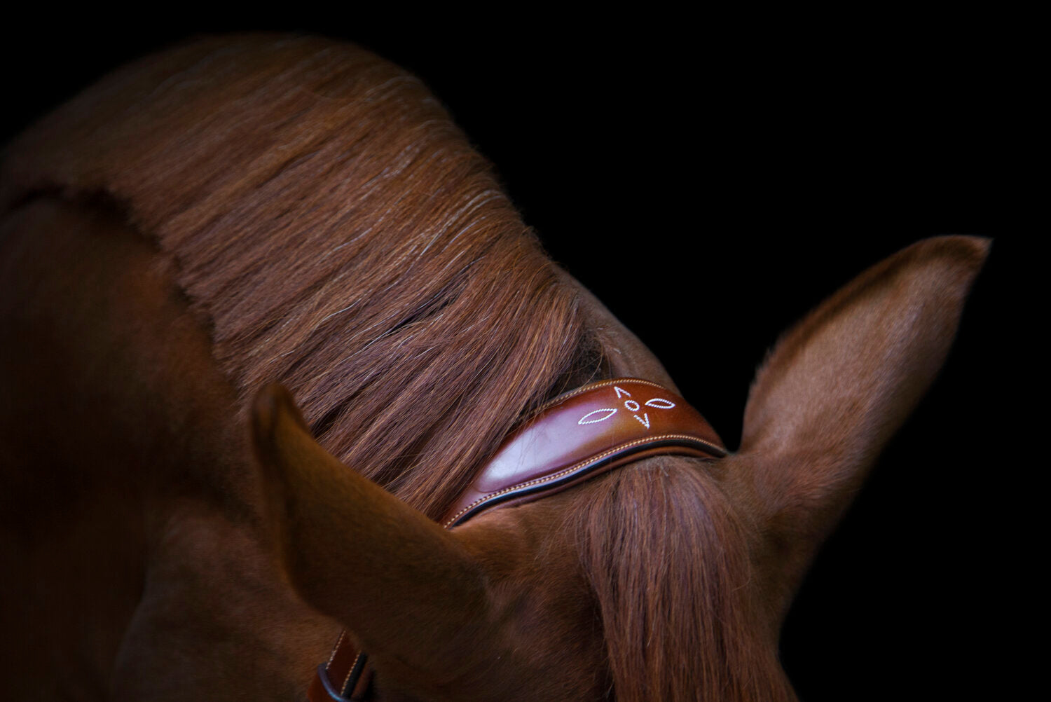 Oxford Bridle
