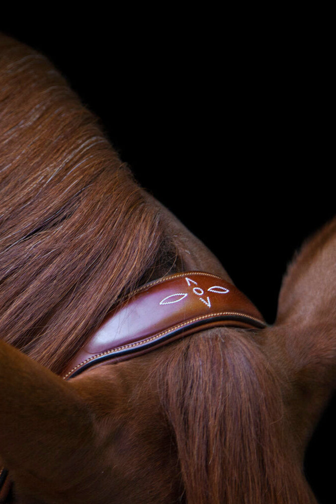 Oxford Bridle My Store