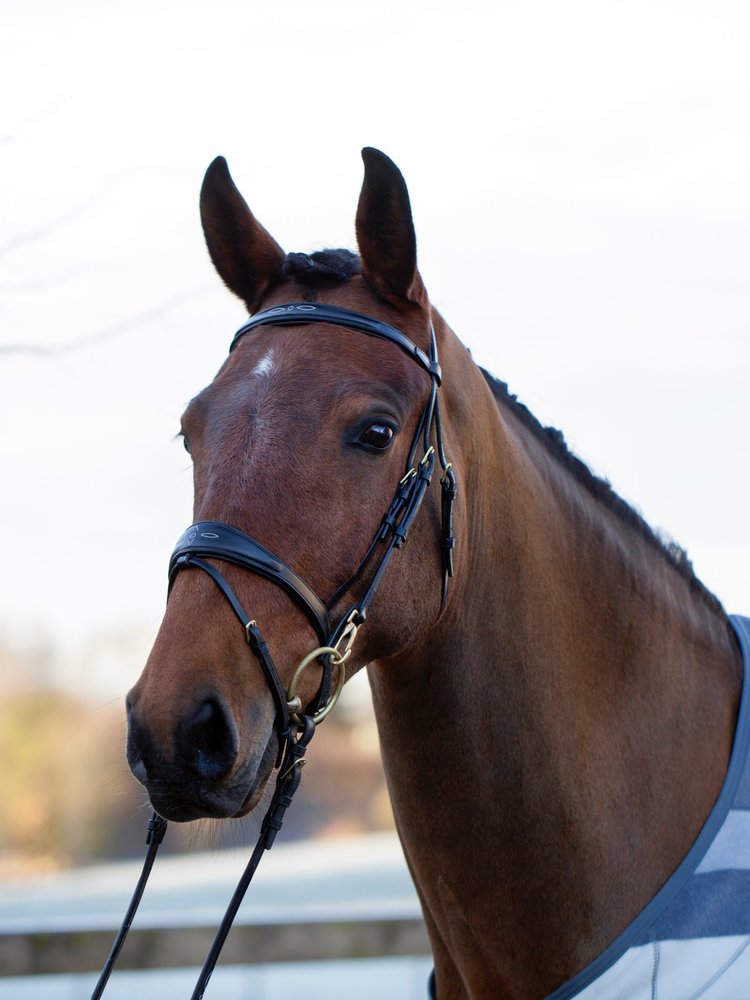 Belmond Bridle