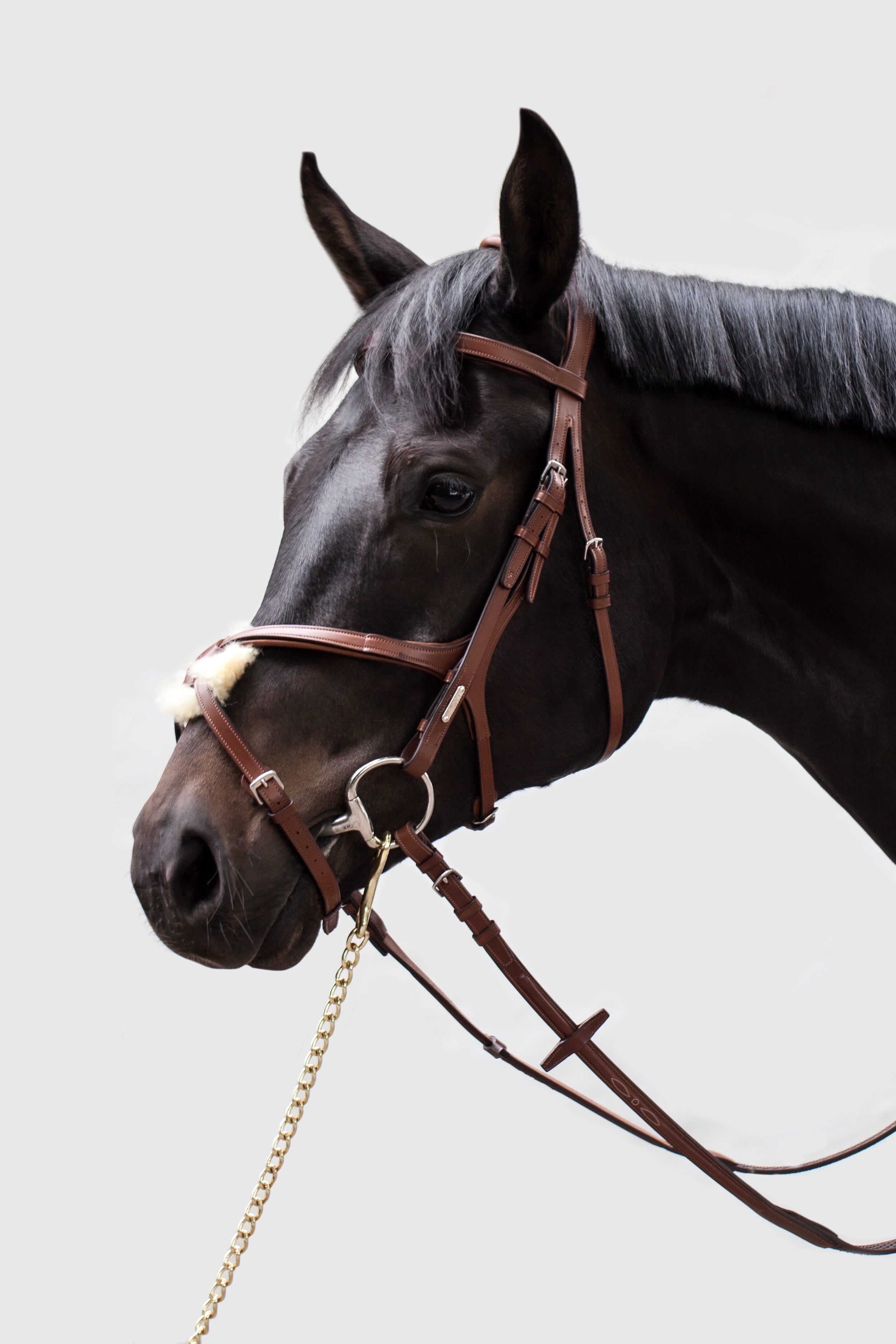 Oxford figure 8 bridle Utzon Equestrian