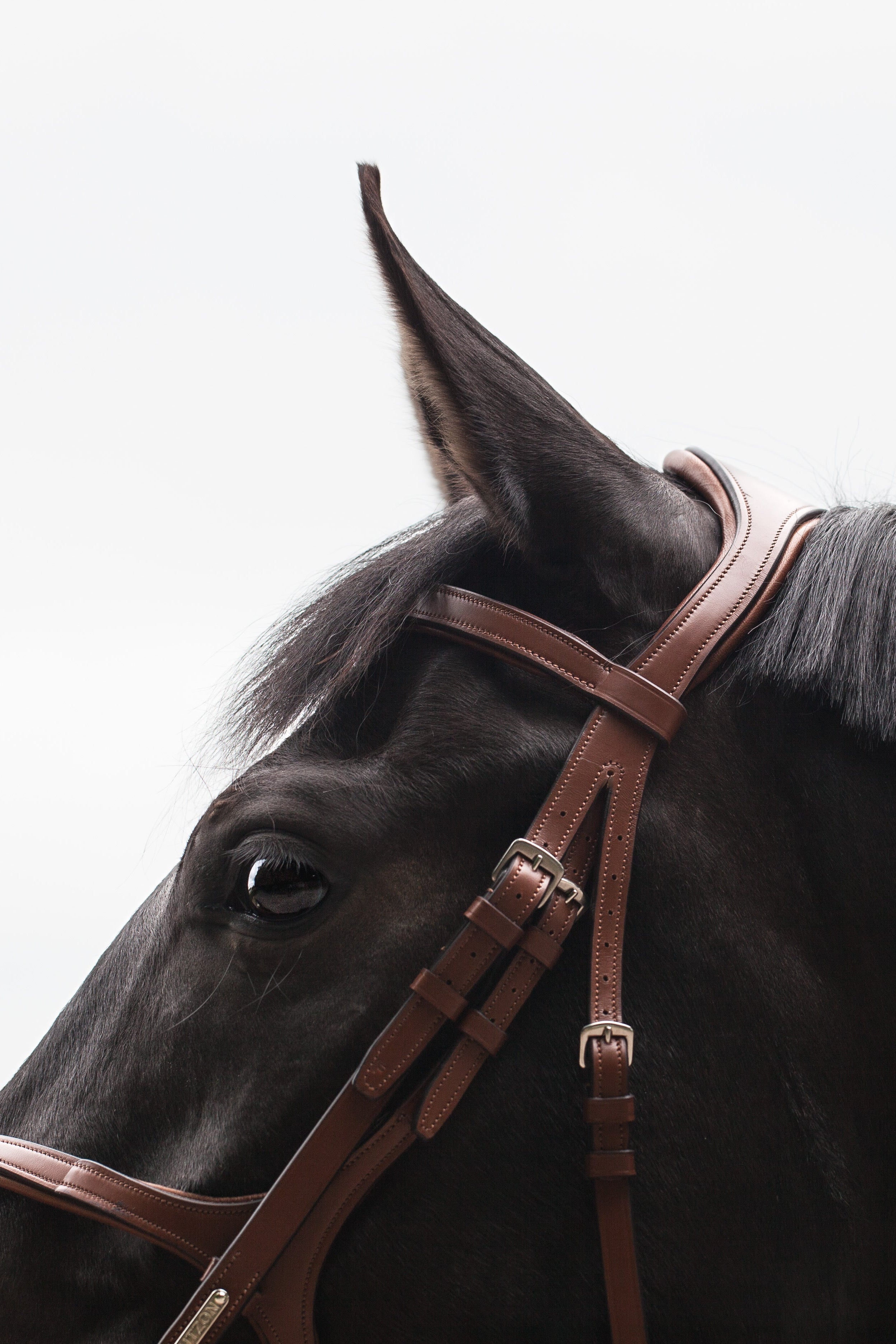Oxford figure 8 bridle Utzon Equestrian