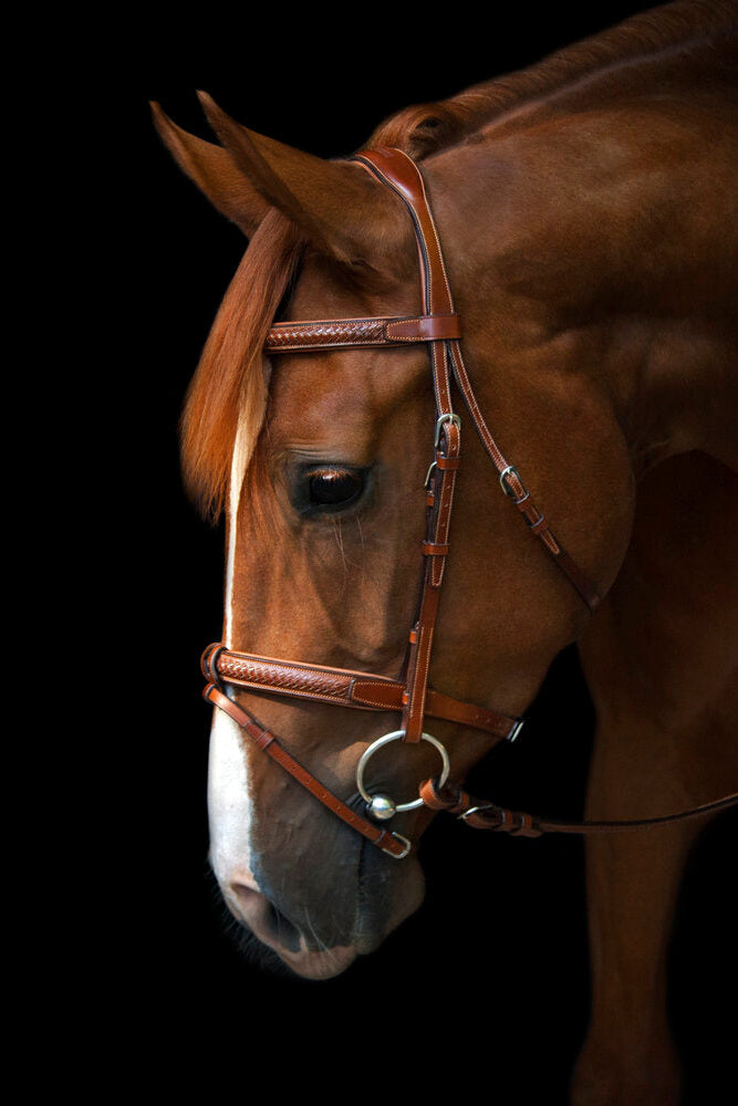 Grand Prix Bridle My Store