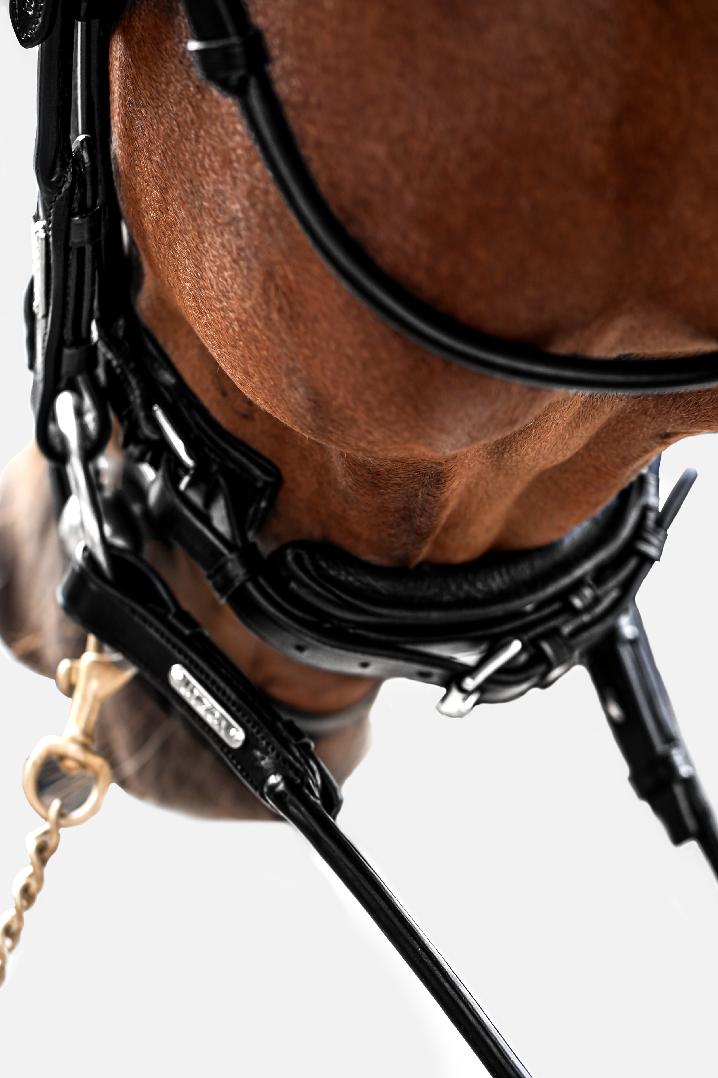 Copenhagen Bridle My Store