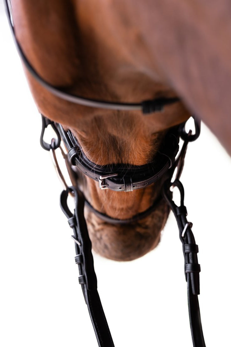 Grand Prix Bridle My Store