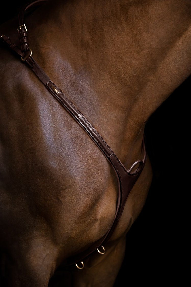 Belmond breastplate