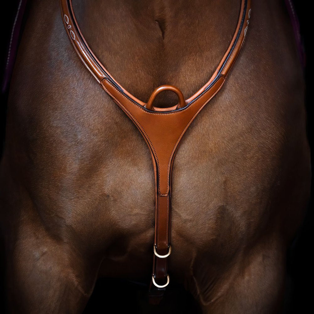 Belmond breastplate