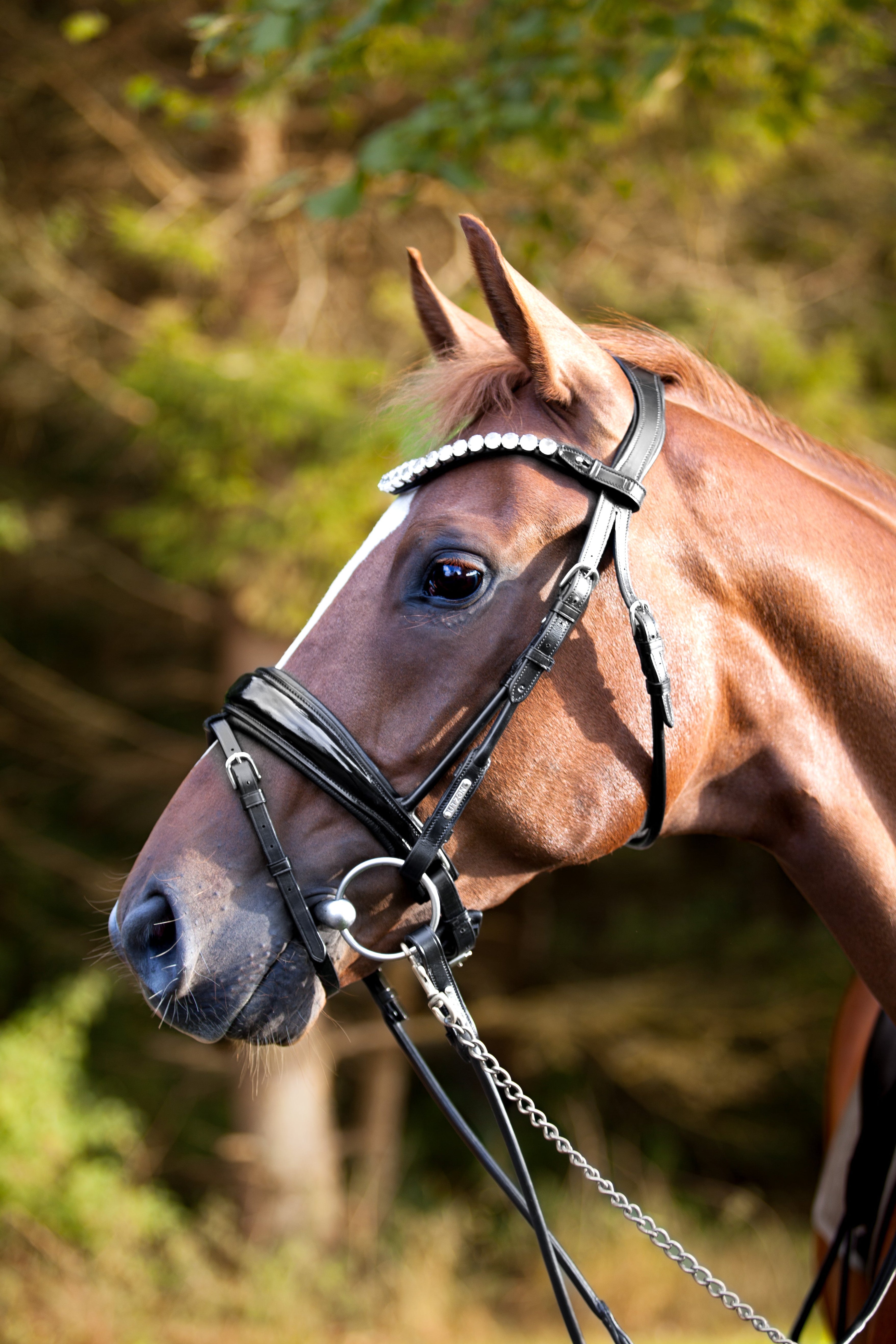 Copenhagen Bridle My Store