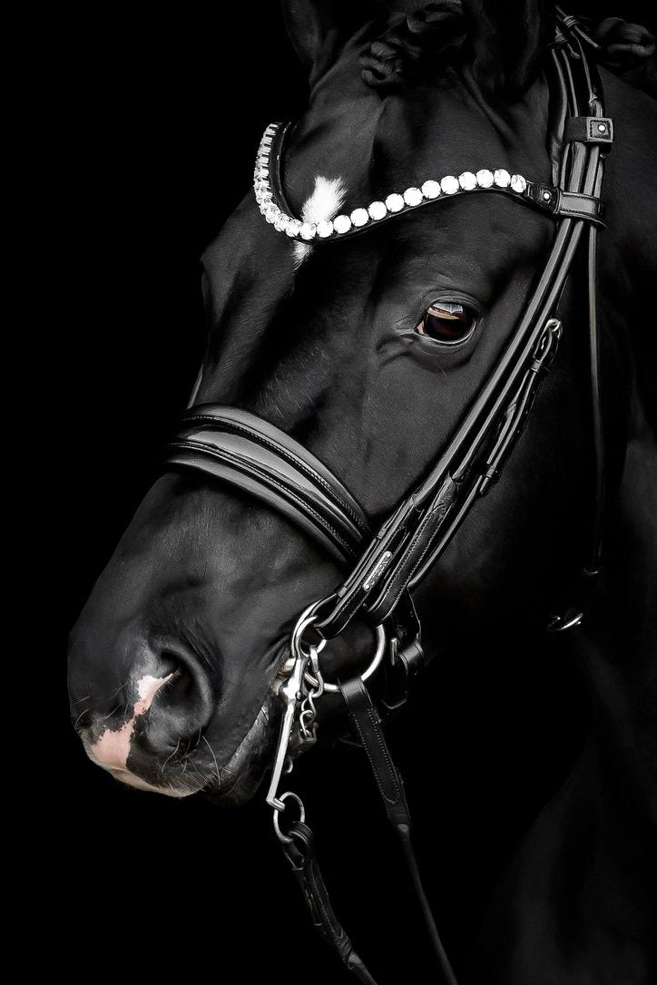 Edinburgh Double Bridle, Crystal Edition My Store