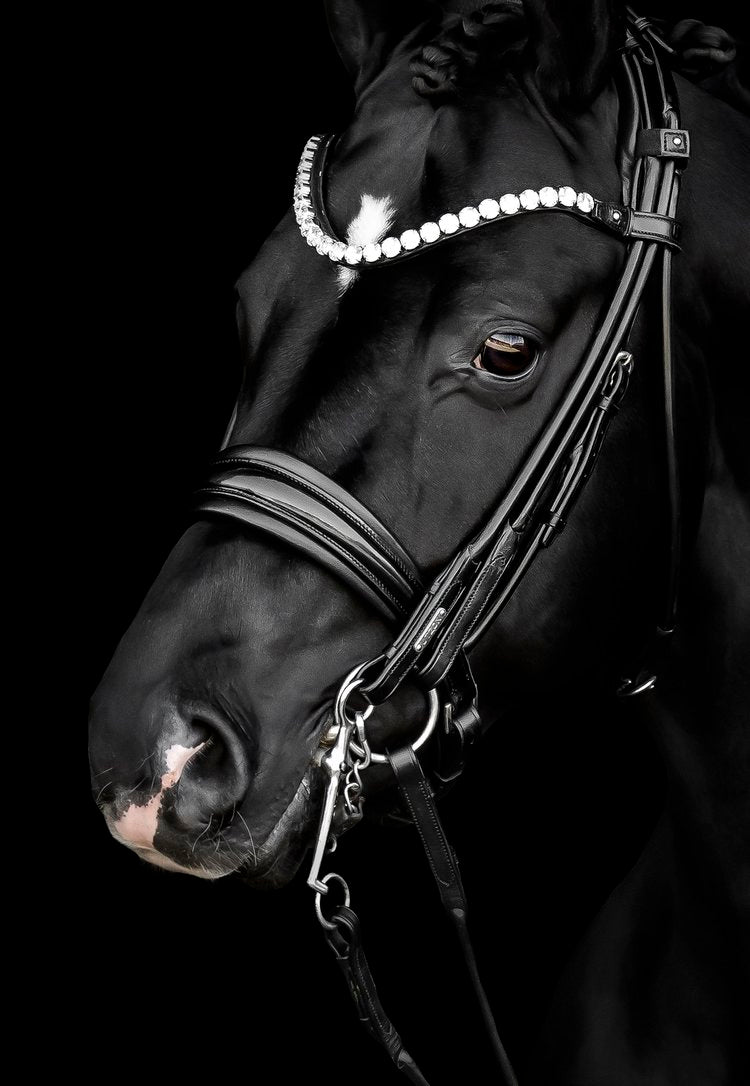 Edinburgh Double Bridle, Crystal Edition