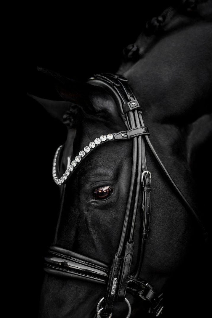 Edinburgh Double Bridle, Crystal Edition My Store