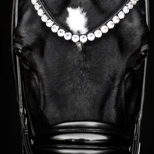 Edinburgh Double Bridle, Crystal Edition