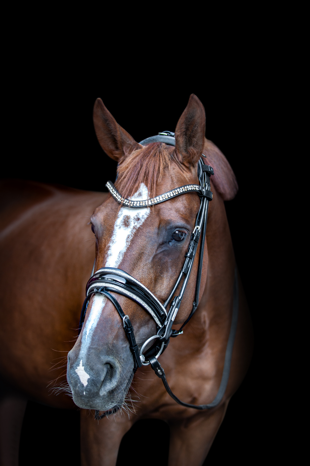 Miami Bridle, Grey crystals Utzon Equestrian