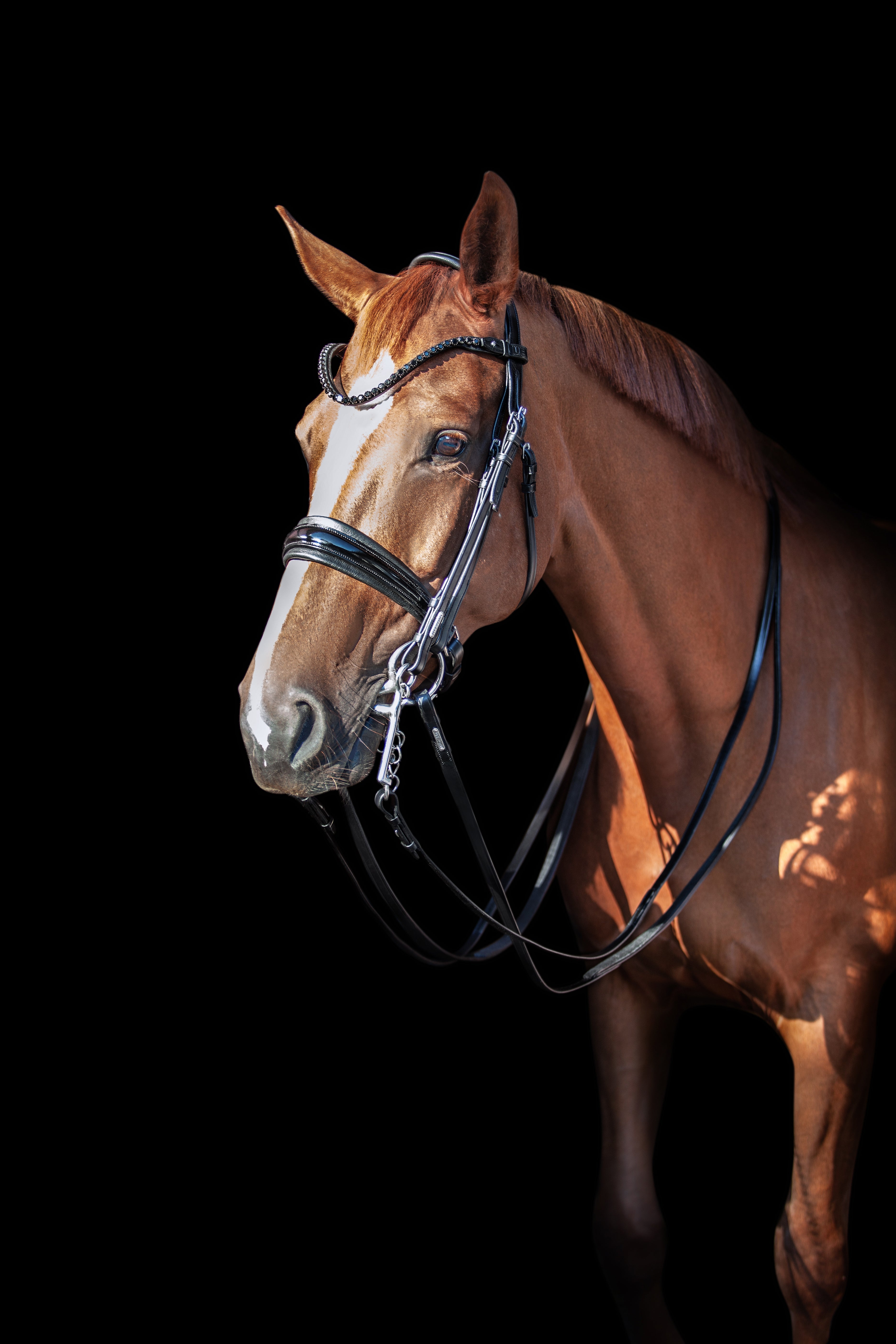 Essentials Double Bridle