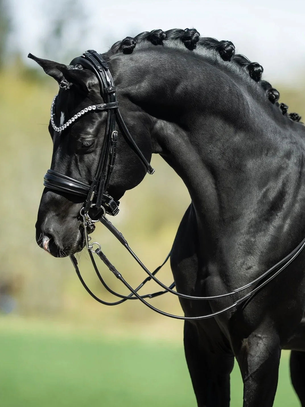 Edinburgh Double Bridle, Crystal Edition