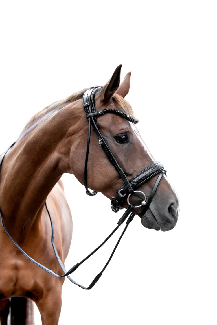 Olympic Bridle My Store