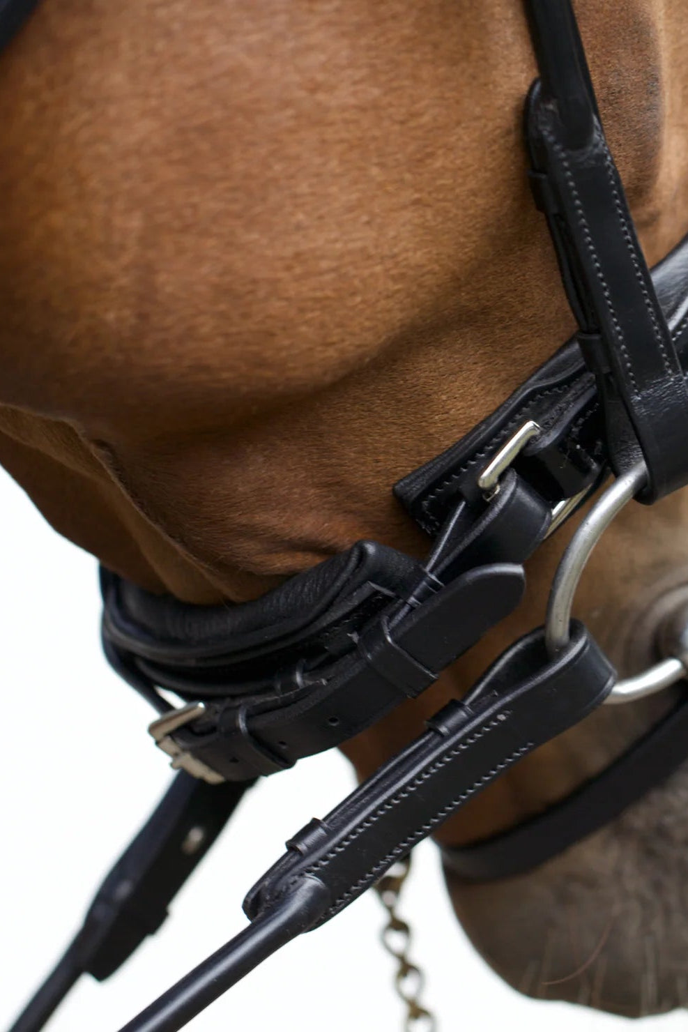 Copenhagen Bridle My Store