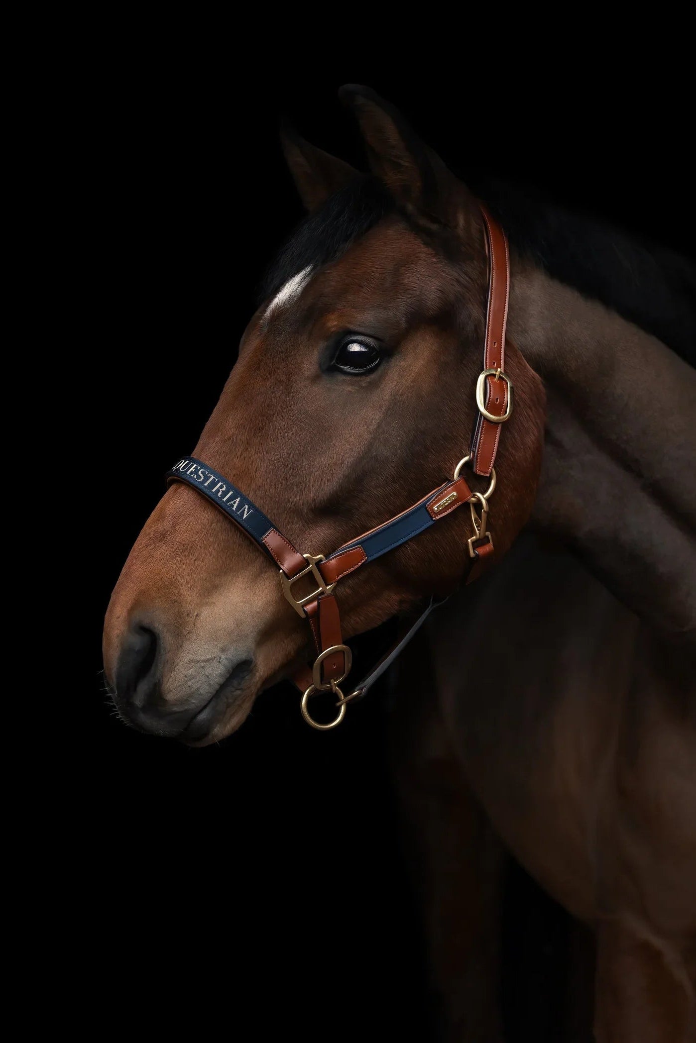 Paris Halter Utzon Equestrian
