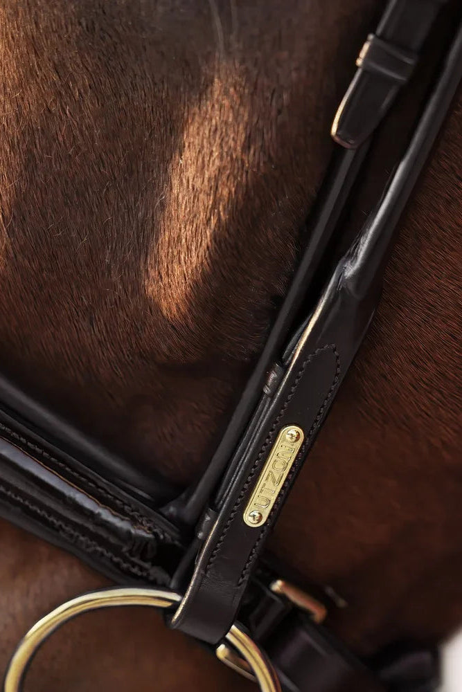 Edinburgh Bridle Brown, Lacquered Noseband Utzon Equestrian