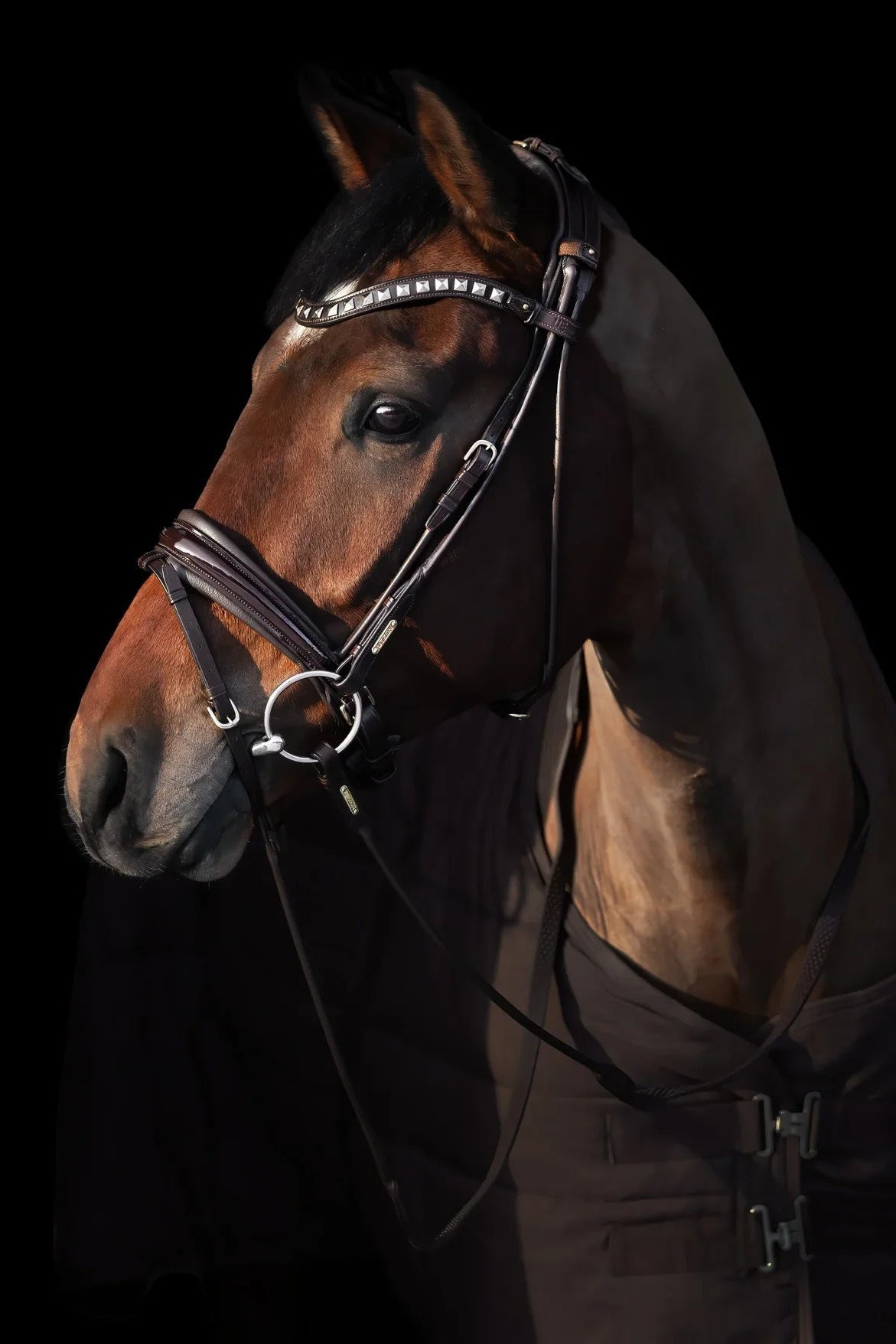 Edinburgh Bridle Brown, Lacquered Noseband Utzon Equestrian