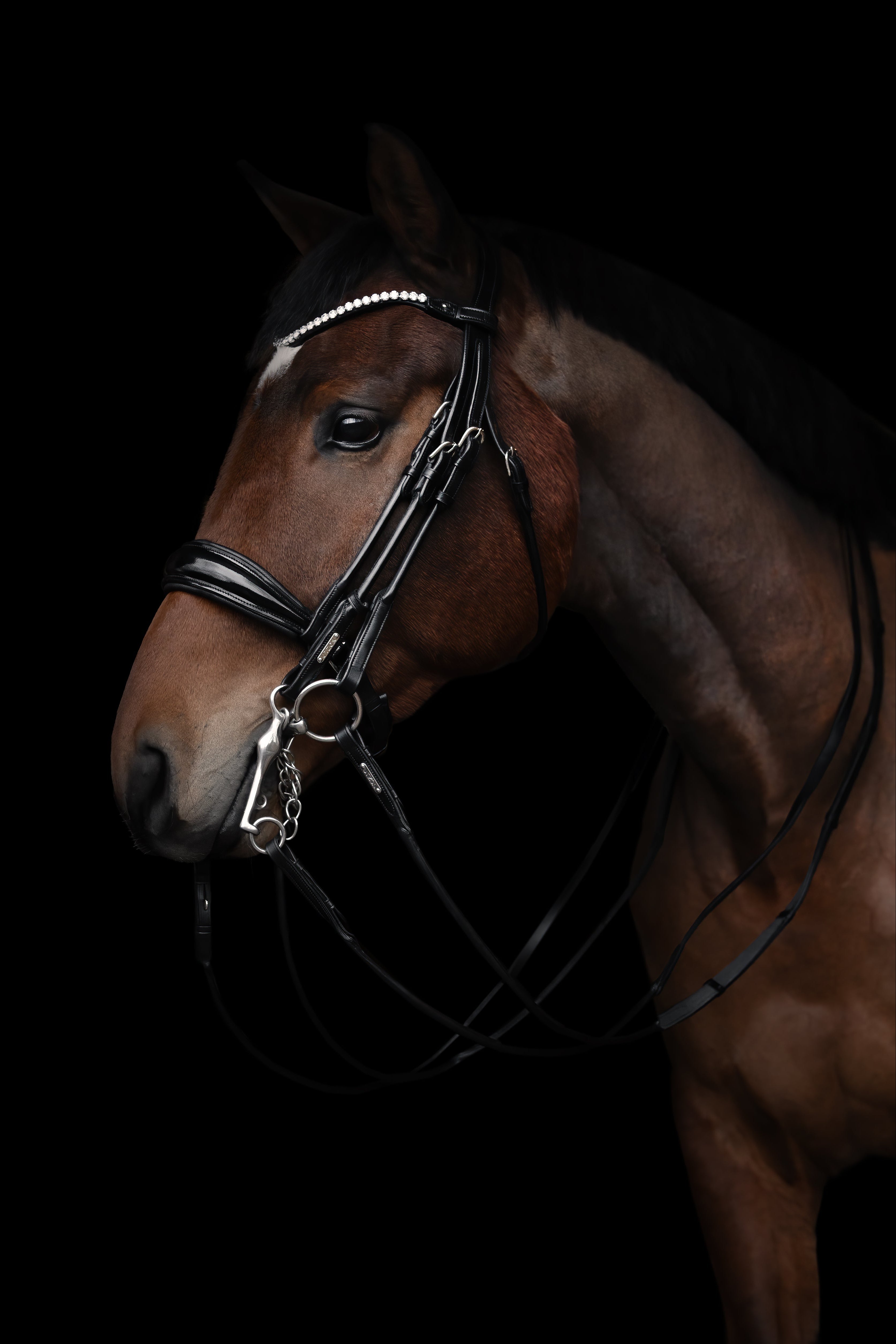 Copenhagen Double Bridle Utzon Equestrian
