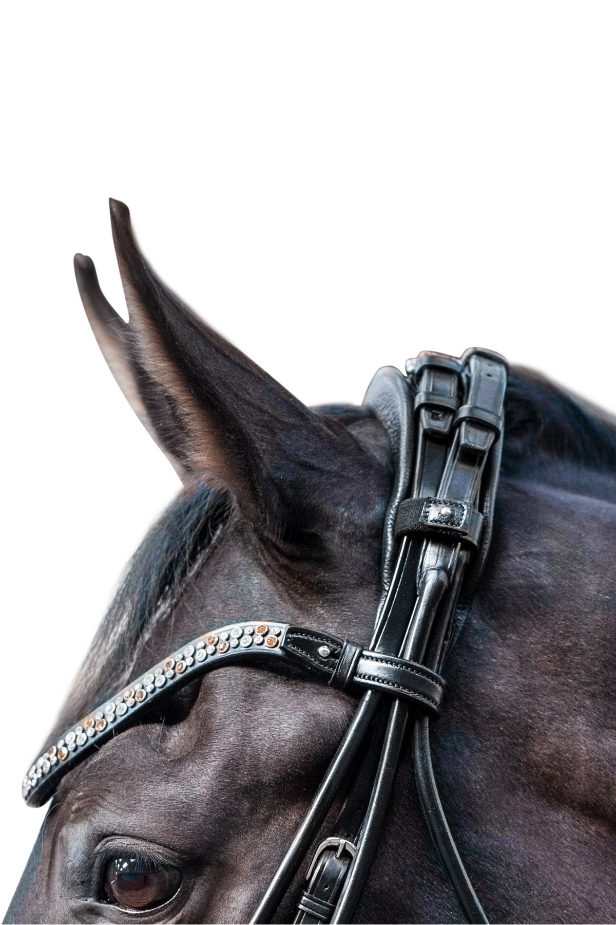 Miami Double Bridle, Grey crystals Utzon Equestrian