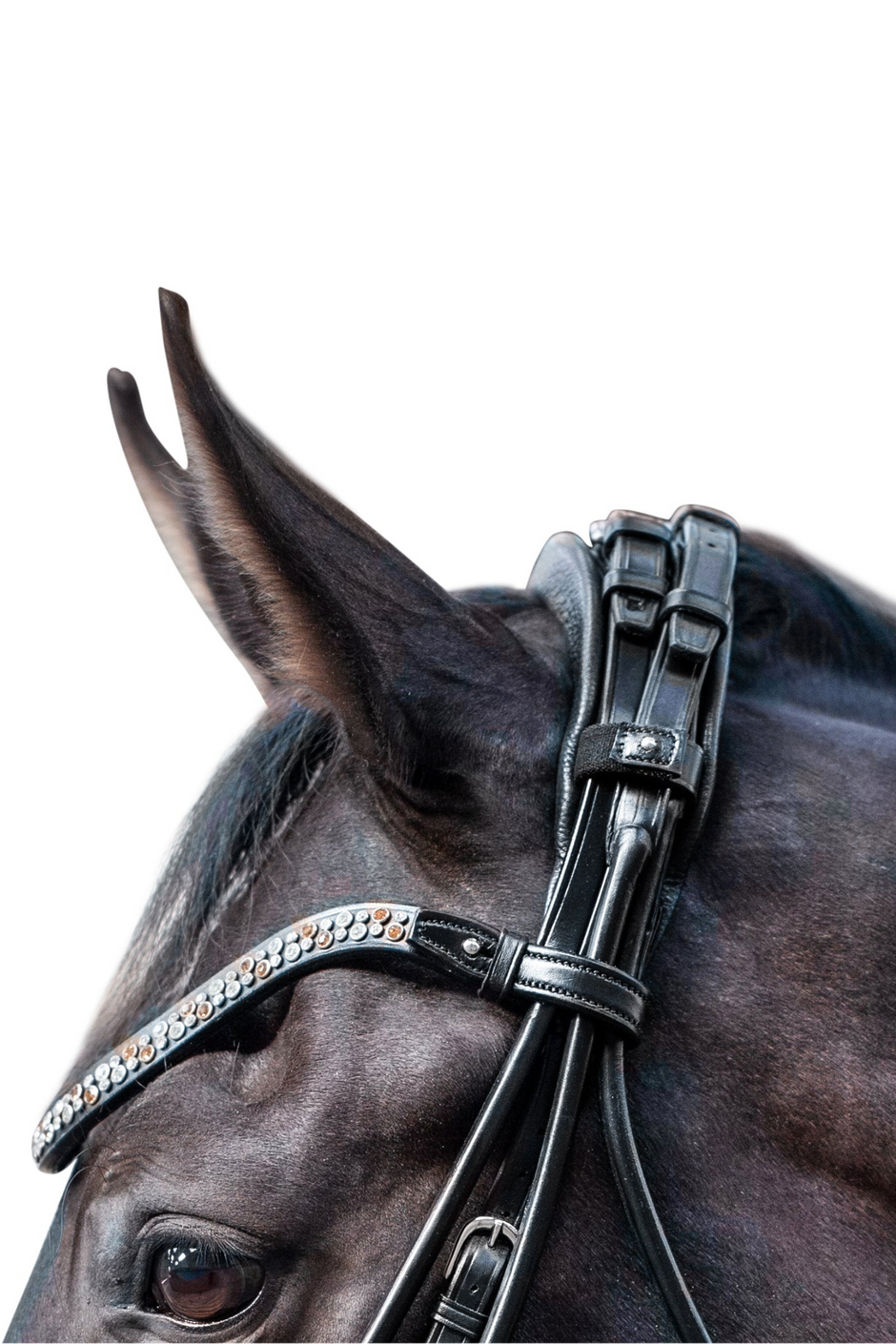 Miami Double Bridle, Grey crystals Utzon Equestrian