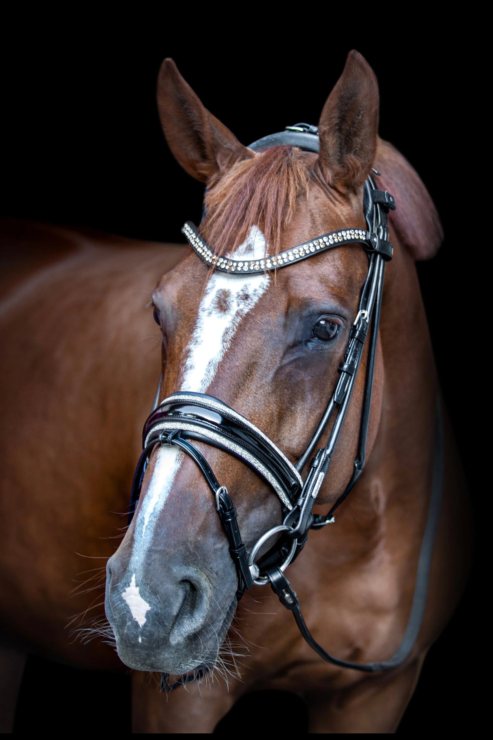 Miami Bridle, Grey crystals Utzon Equestrian