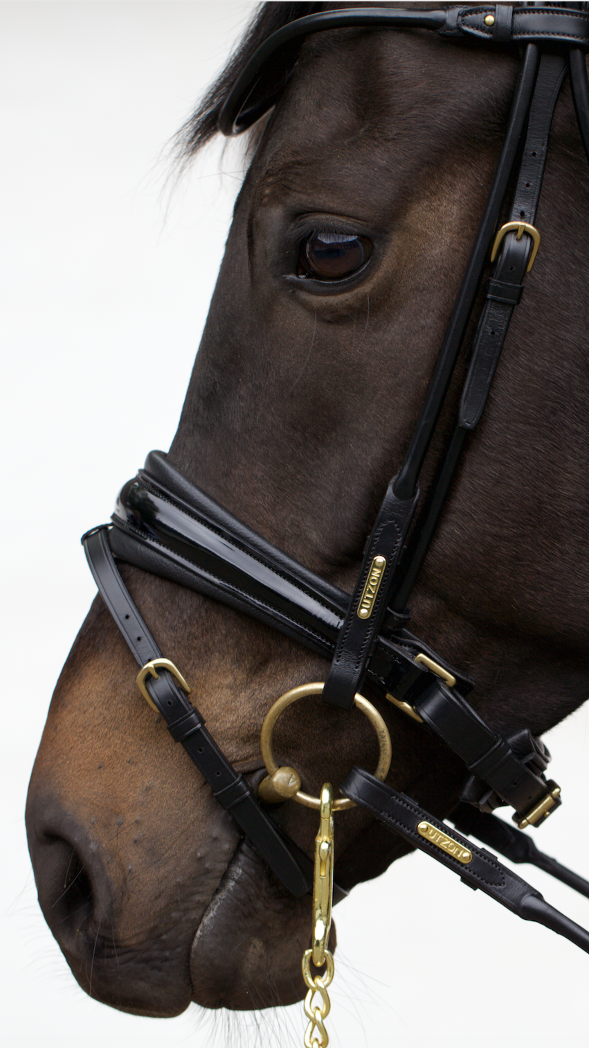 Edinburgh Bridle Black, Lacquered Noseband
