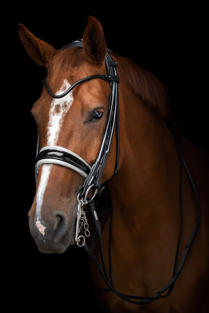 Edinburgh Double Bridle My Store