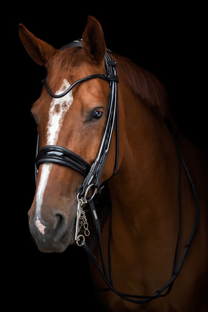Edinburgh Double Bridle My Store