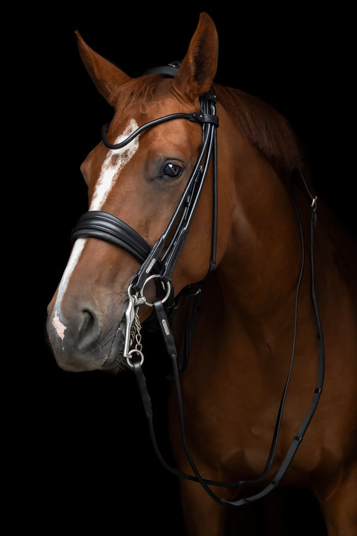 Edinburgh Double Bridle My Store