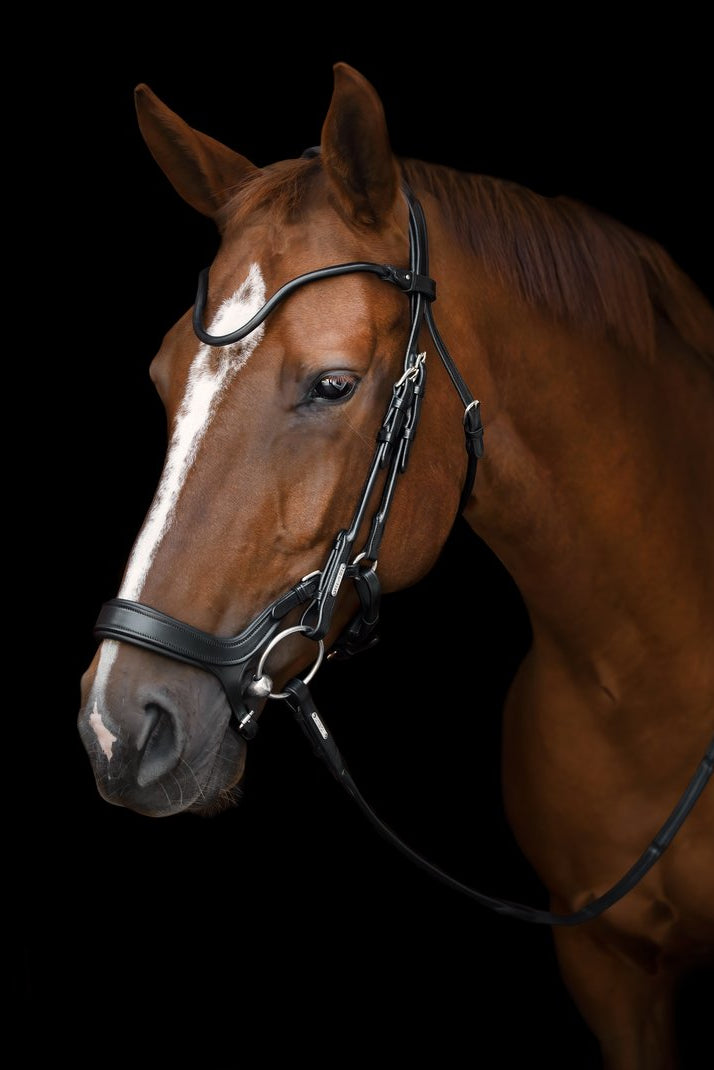 Bristol Bridle My Store