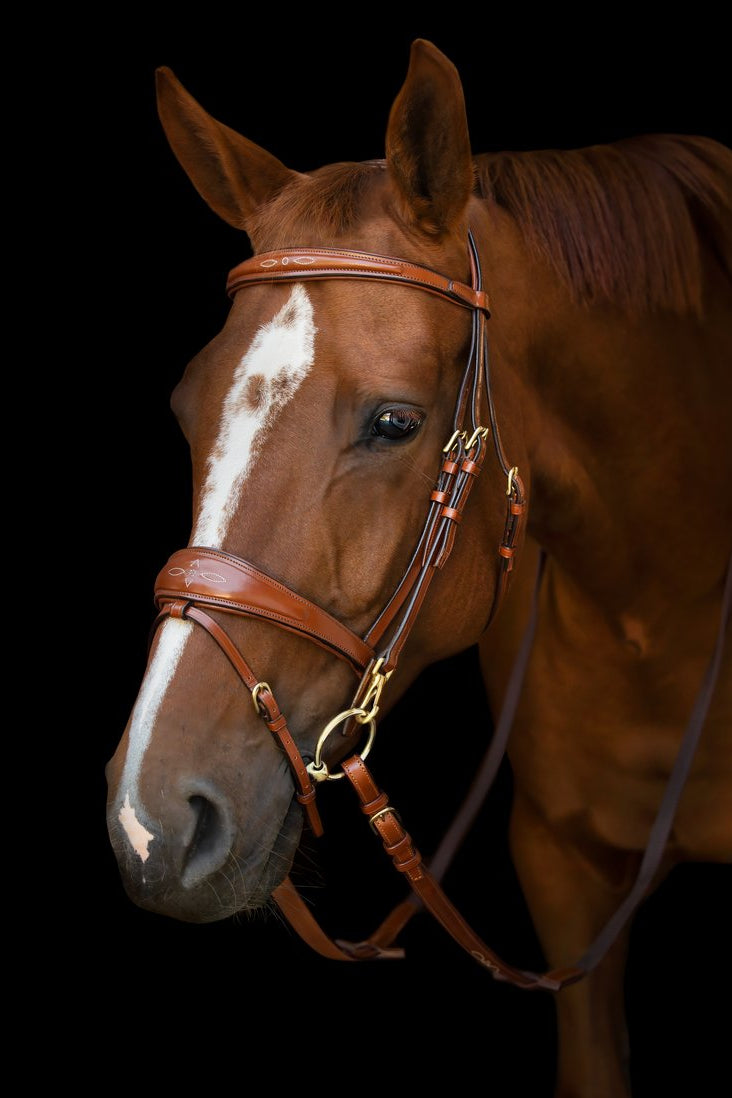 Belmond Bridle My Store