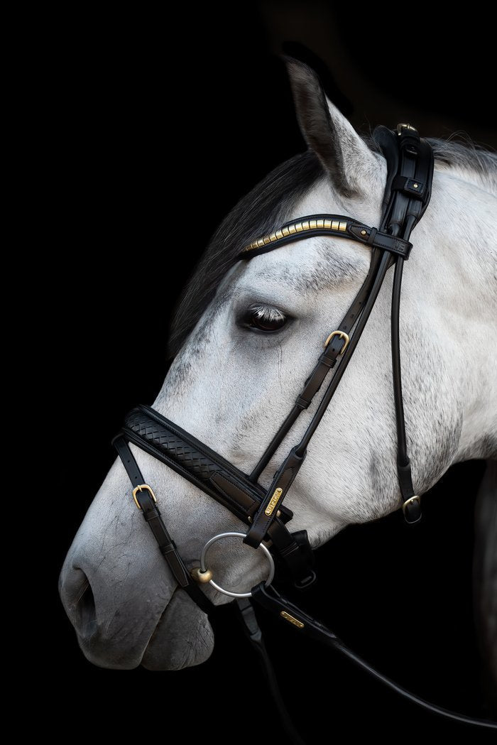 Olympic Bridle My Store
