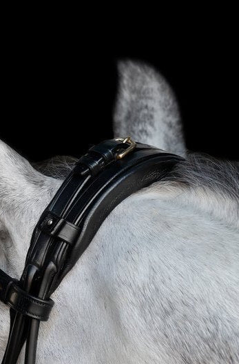 Olympic Bridle My Store